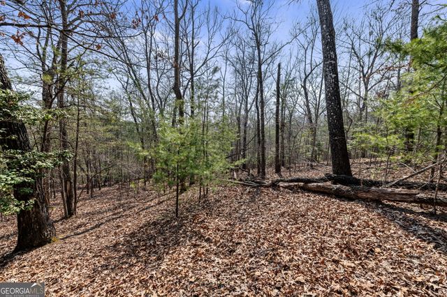 TRACT 3 Old Mill, Mineral Bluff, GA 30559