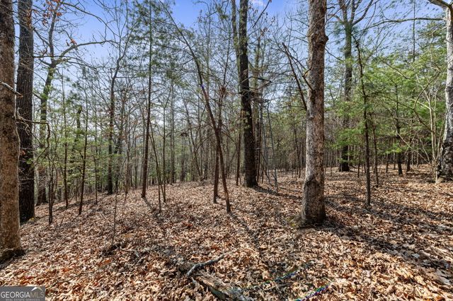 TRACT 3 Old Mill, Mineral Bluff, GA 30559