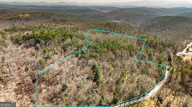 TRACT 3 Old Mill, Mineral Bluff, GA 30559