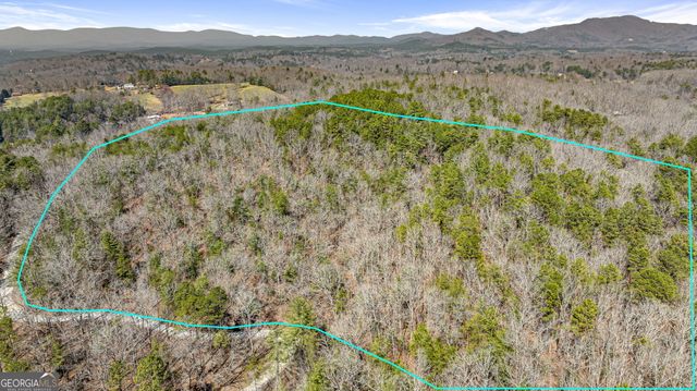 TRACT 3 Old Mill, Mineral Bluff, GA 30559