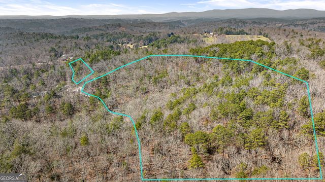 TRACT 3 Old Mill, Mineral Bluff, GA 30559