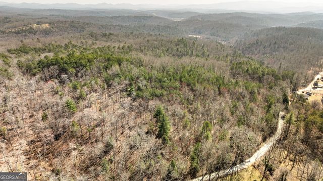 TRACT 3 Old Mill, Mineral Bluff, GA 30559