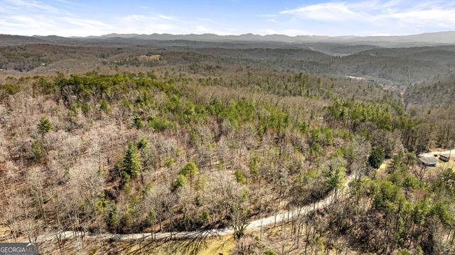 TRACT 3 Old Mill, Mineral Bluff, GA 30559