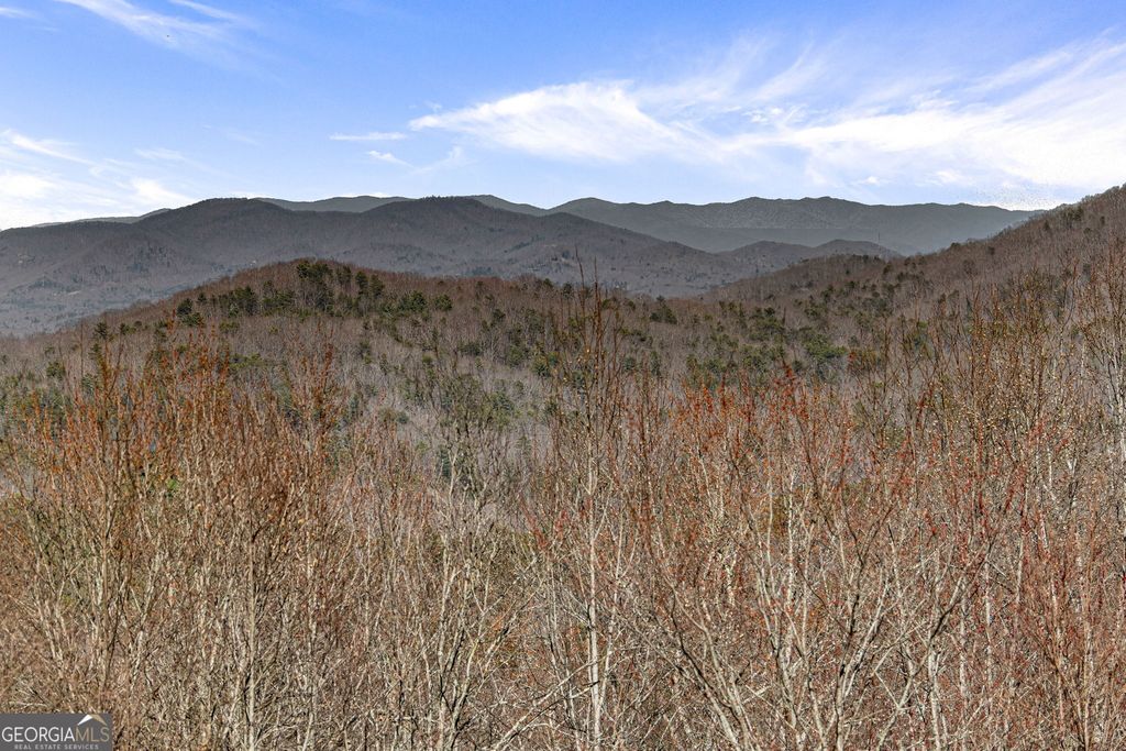 TRACT 3 Old Mill, Mineral Bluff, GA 30559