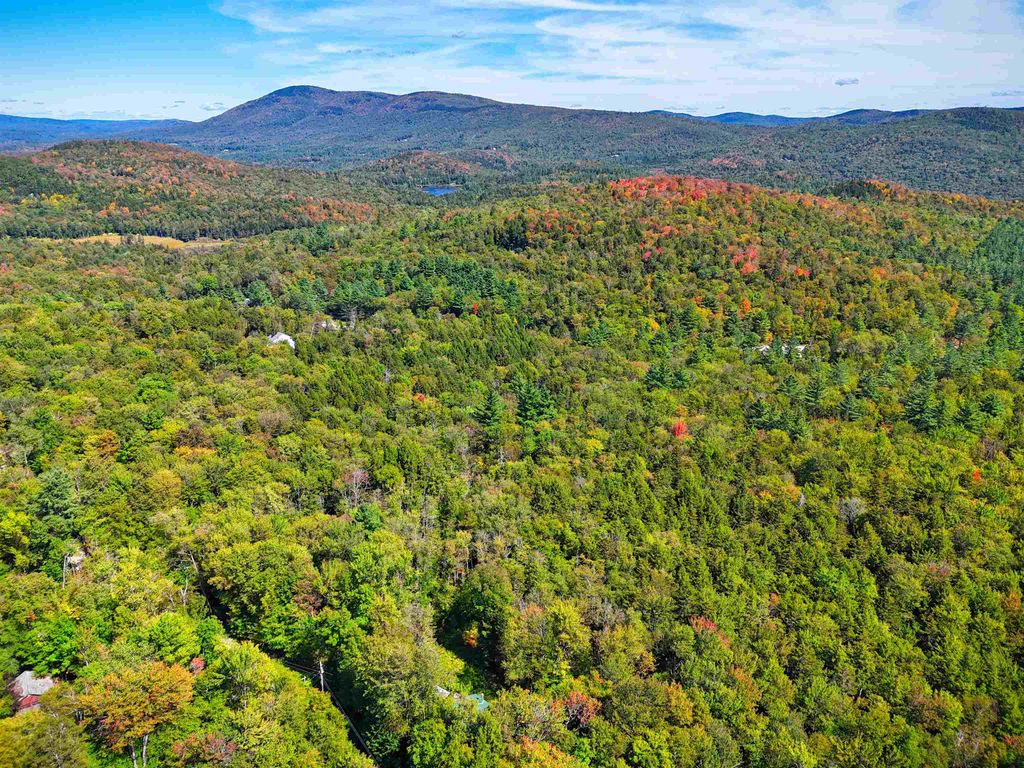 Bourbon Run Road, Jamaica, VT 05343