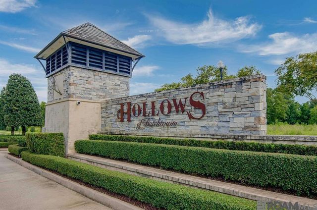 37520 Cypress Hollow Ave, Prairieville, LA 70737