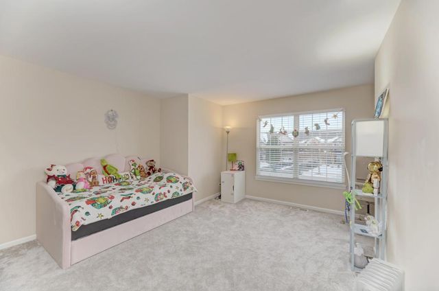 11920 Winterberry Lane, Plainfield, IL 60585