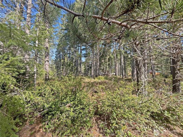 21 N Varden Way, Hoodsport, WA 98548