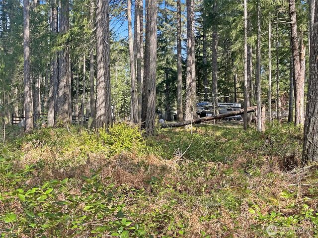21 N Varden Way, Hoodsport, WA 98548