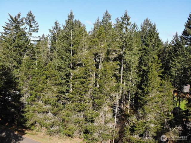 21 N Varden Way, Hoodsport, WA 98548