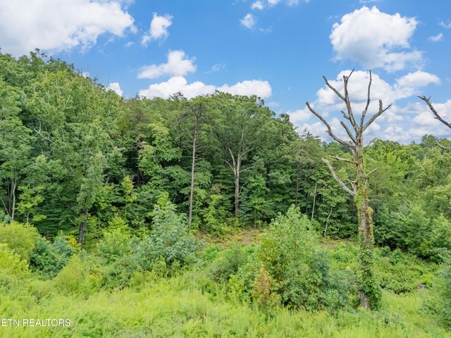 3225 Oakwood Hills Lane, Knoxville, TN 37931