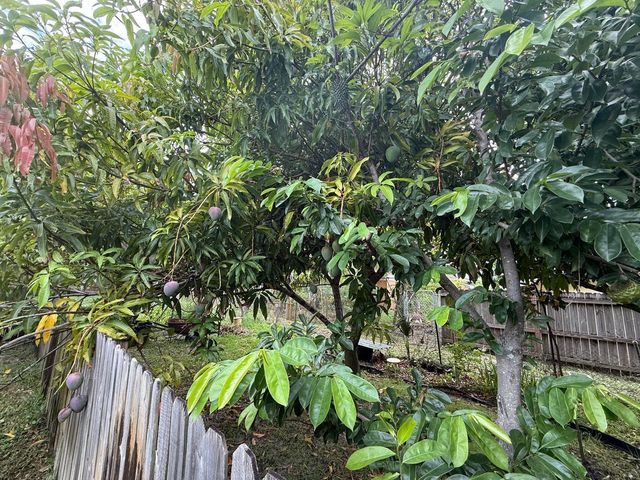 320 W 29th Street, Riviera Beach, FL 33404