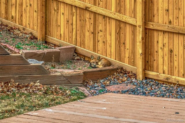 11351 Fenton Street, Westminster, CO 80020