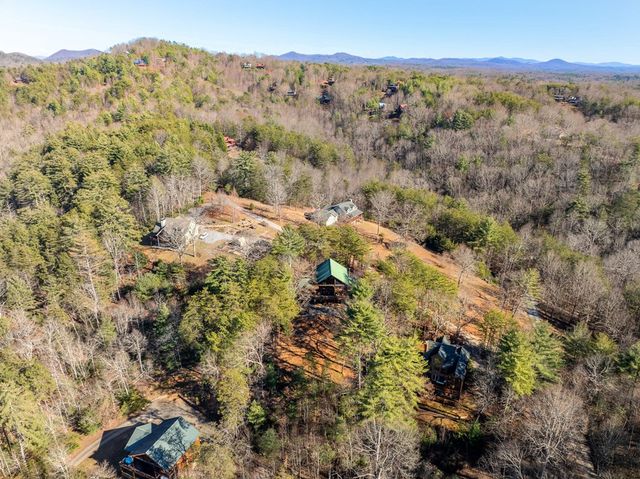 363 Crestview Drive, Morganton, GA 30560