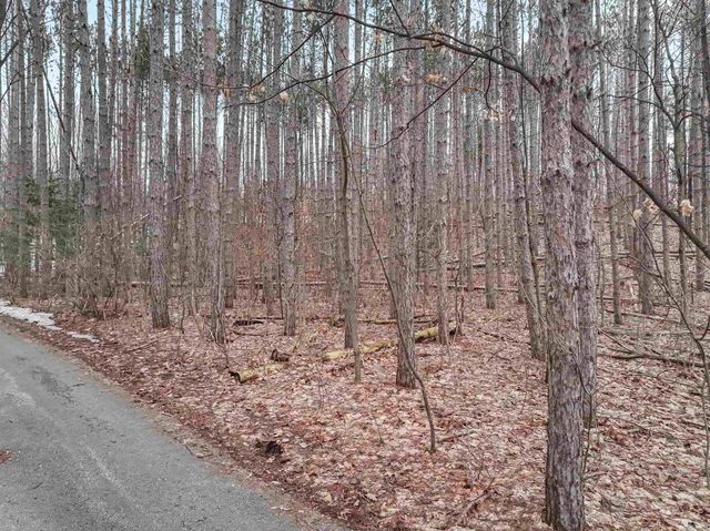 0.65 acres Barnes Road, Garfield Twp, MI 49684