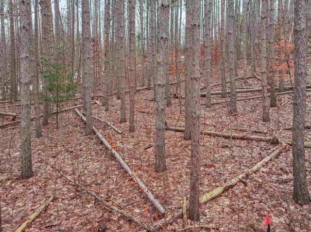 0.65 acres Barnes Road, Garfield Twp, MI 49684