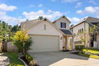 254 Aster View Court, Montgomery, TX 77316