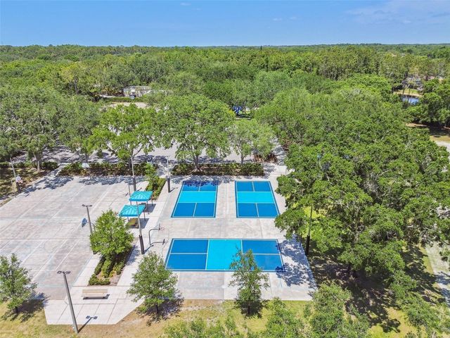 3025 NAUGHTON WAY, Tarpon Springs, FL 34688