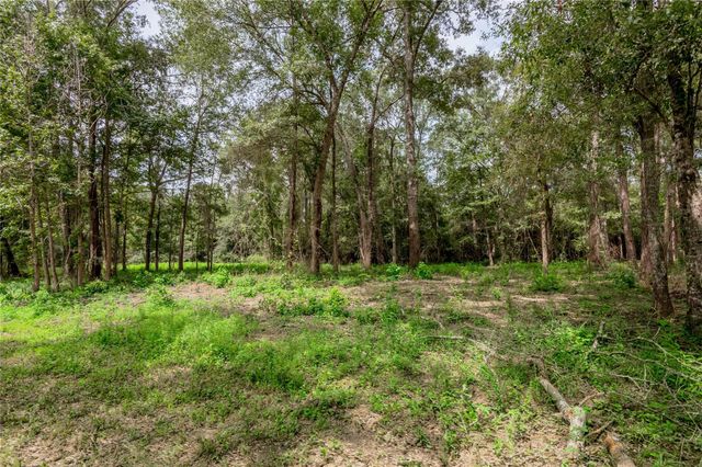 109 Buffalo Subdivision, Livingston, TX 77351