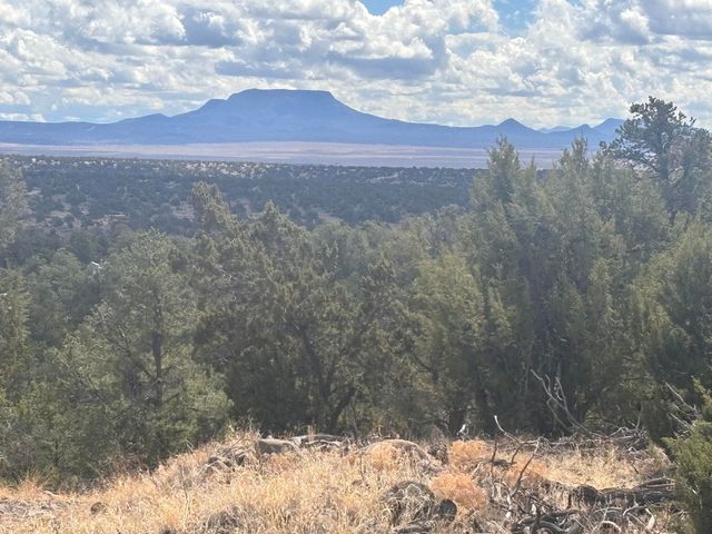 498 Starfire Loop, Quemado, NM 87829