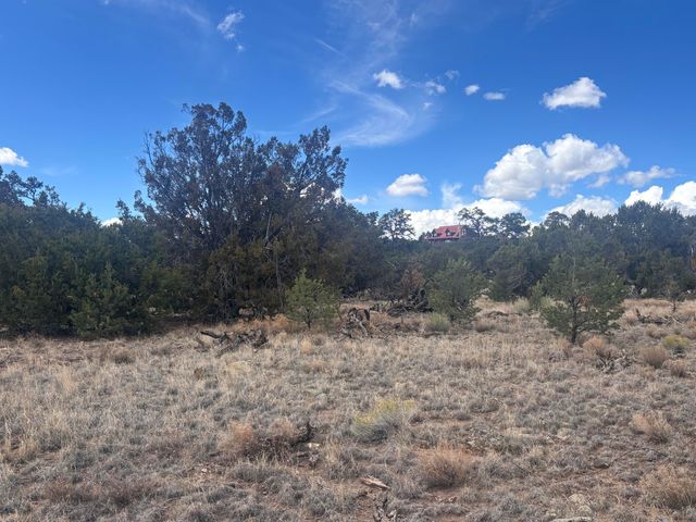 498 Starfire Loop, Quemado, NM 87829