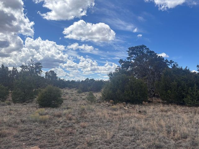 498 Starfire Loop, Quemado, NM 87829