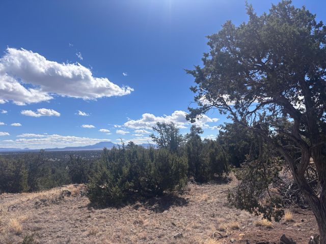 498 Starfire Loop, Quemado, NM 87829