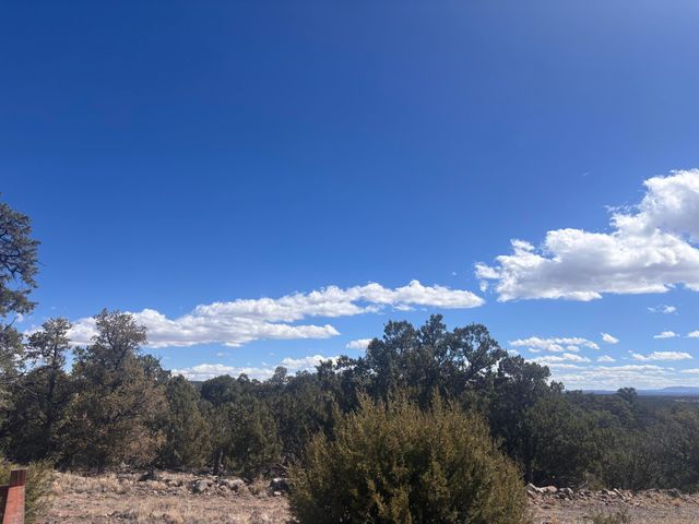 498 Starfire Loop, Quemado, NM 87829