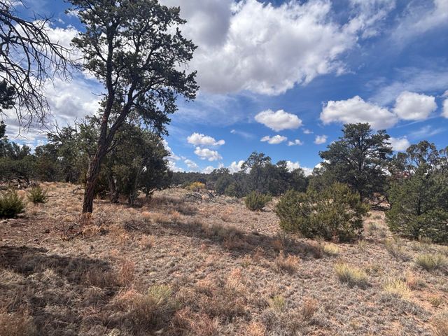 498 Starfire Loop, Quemado, NM 87829