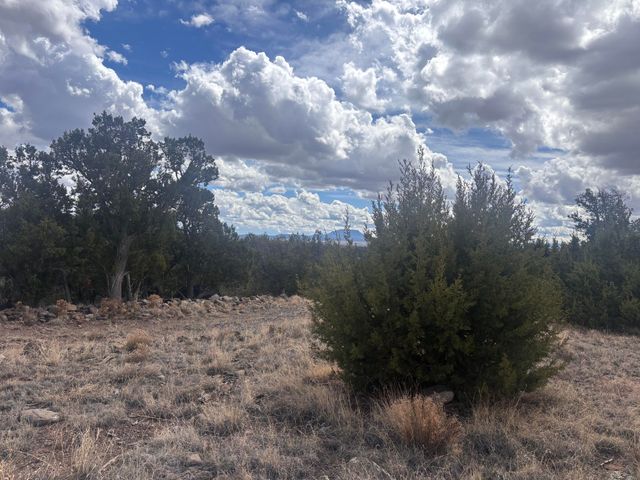 498 Starfire Loop, Quemado, NM 87829