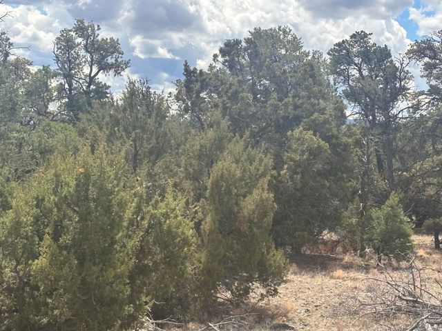 498 Starfire Loop, Quemado, NM 87829