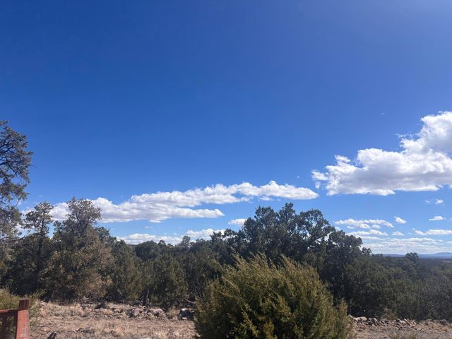 498 Starfire Loop, Quemado, NM 87829
