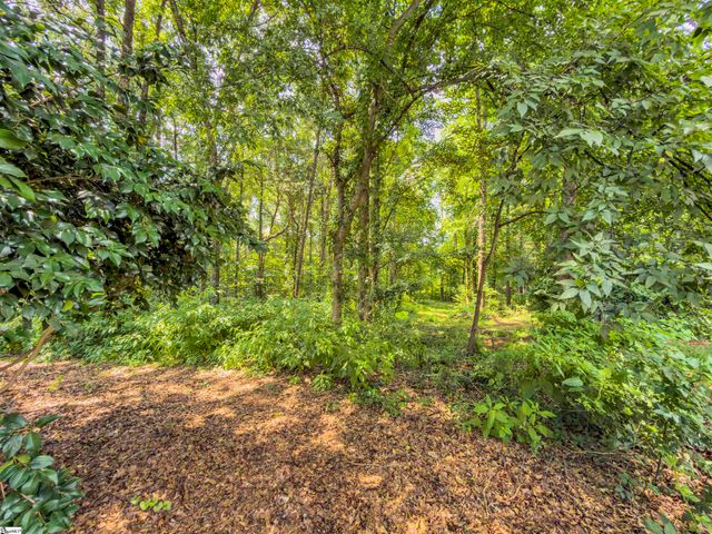 6 Peters Creek Court, Simpsonville, SC 29681