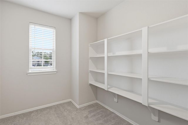 14532 Jelly Pines Drive, Conroe, TX 77302