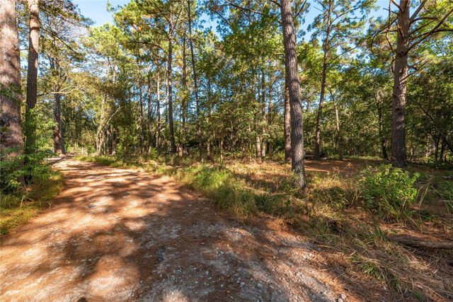 225 Foster Street, Alvin, TX 77511