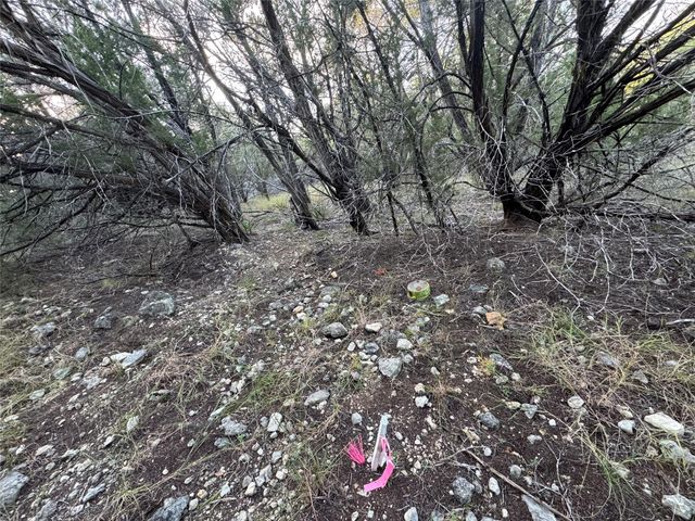 918 Debco LN, Spicewood, TX 78669