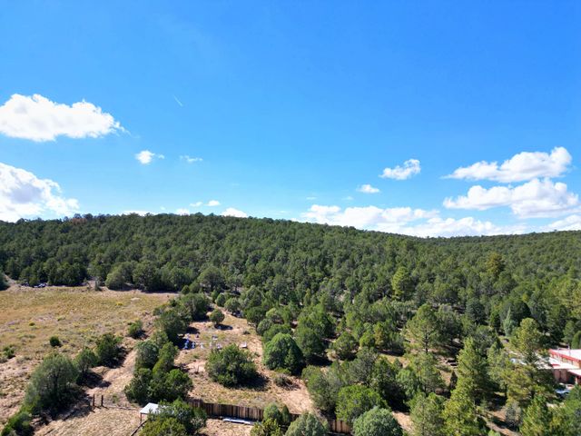 49 El Cedro Road Road, Tijeras, NM 87059
