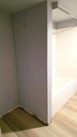 348 E Washington Street, Oronoko Twp, MI 49103