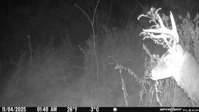 11071 Crimmin Road, Newark, IL 60541