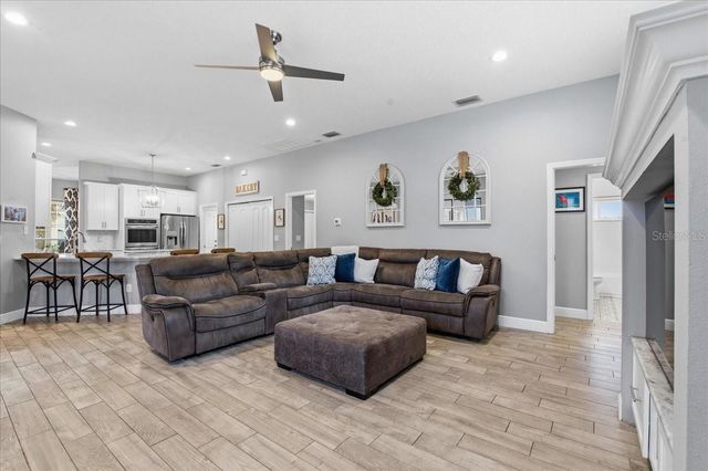 1007 SPLIT SILK STREET, Valrico, FL 33594