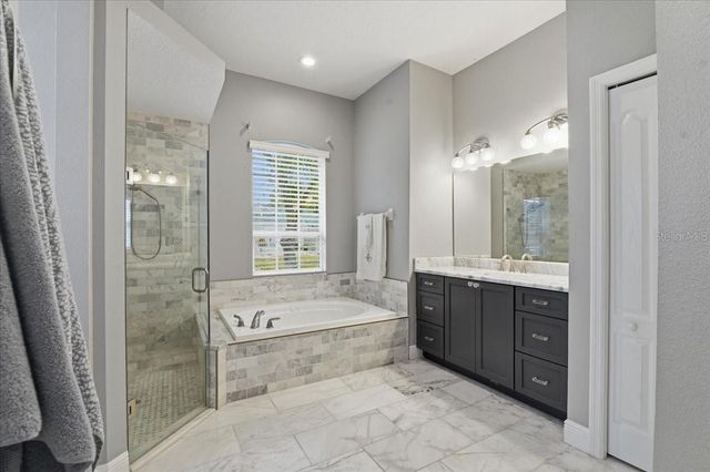 1007 SPLIT SILK STREET, Valrico, FL 33594