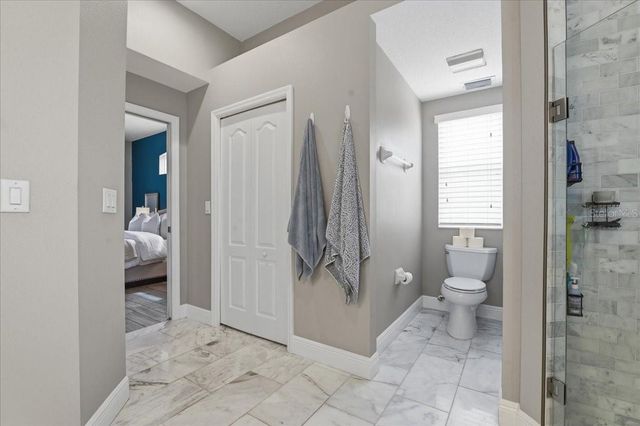 1007 SPLIT SILK STREET, Valrico, FL 33594