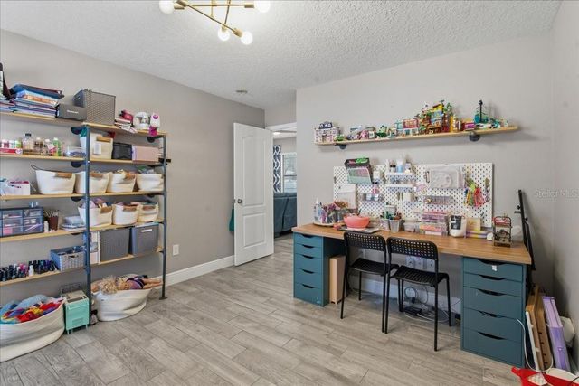 1007 SPLIT SILK STREET, Valrico, FL 33594