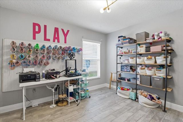 1007 SPLIT SILK STREET, Valrico, FL 33594