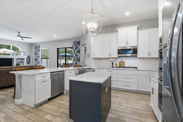 1007 SPLIT SILK STREET, Valrico, FL 33594