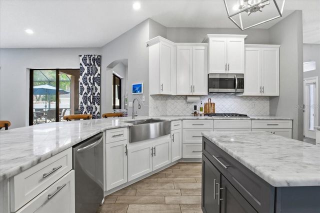 1007 SPLIT SILK STREET, Valrico, FL 33594