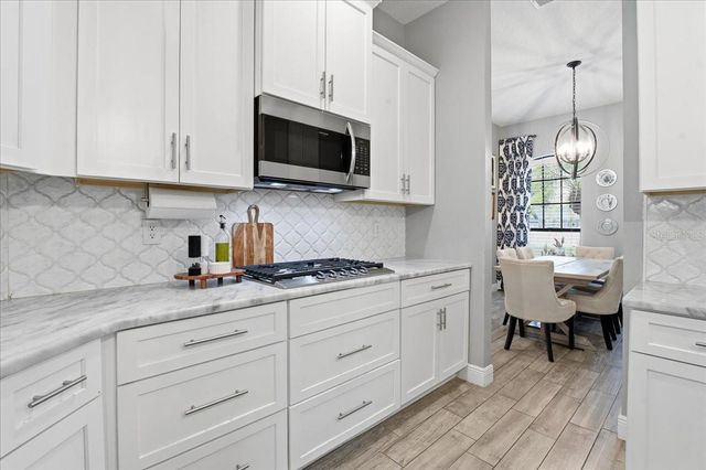 1007 SPLIT SILK STREET, Valrico, FL 33594