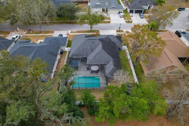 1007 SPLIT SILK STREET, Valrico, FL 33594