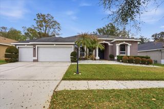 1007 SPLIT SILK STREET, Valrico, FL 33594