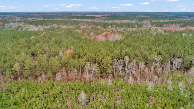 Lot 4 Saggus Road, Washington, GA 30673